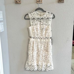 NWT Romeo + Juliet couture lace dress